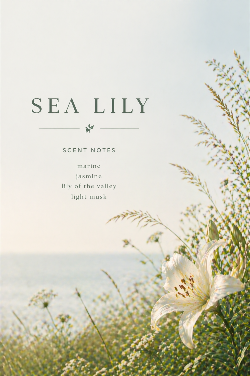 Sea Lily Incense – Fresh Marine Air with Soft Floral and Wood Notes