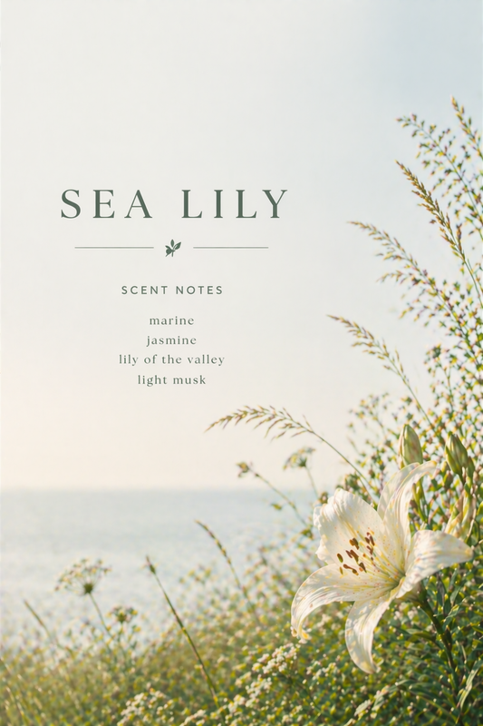 Sea Lily Incense – Fresh Marine Air with Soft Floral and Wood Notes
